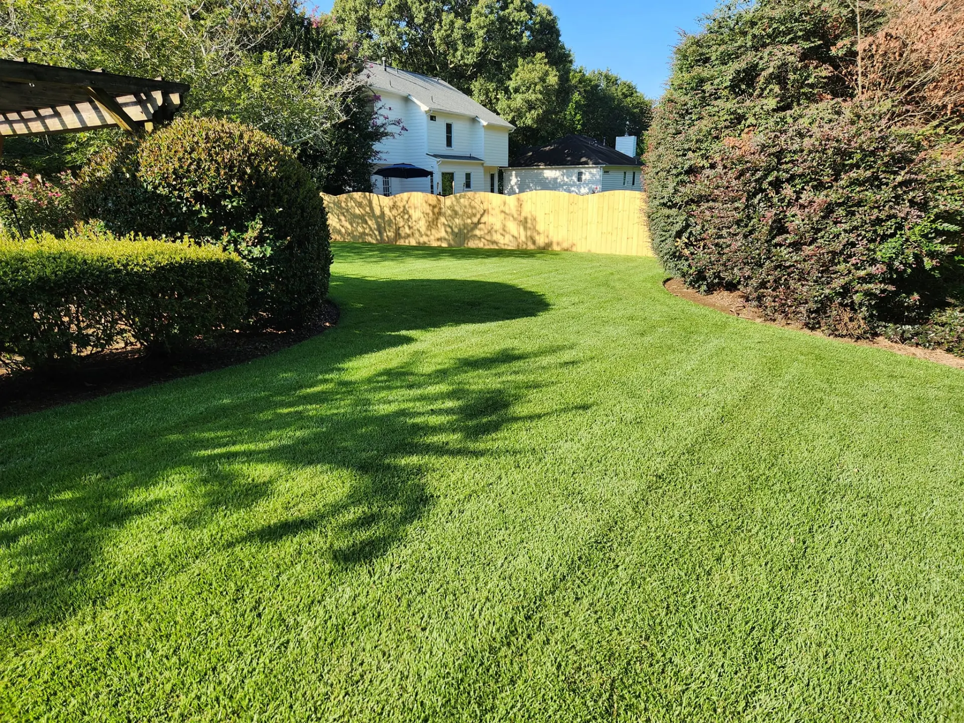 A second photo of a well-maintained lawn.